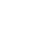 PSS Logo Transparent